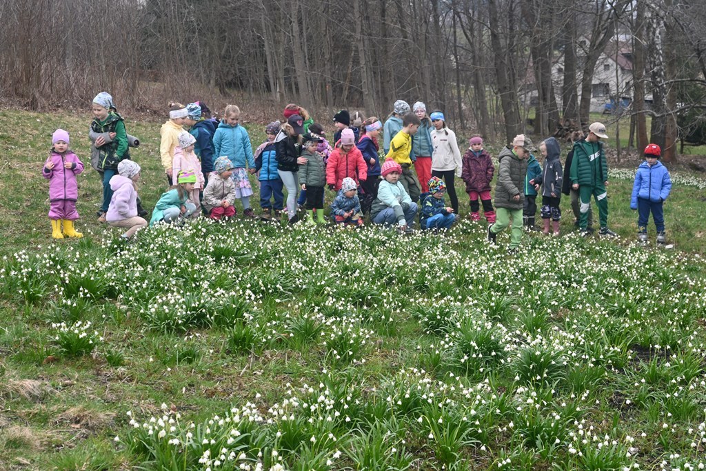 První jarní den aneb Den v zeleném