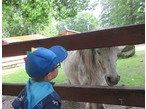 ZOO Liberec  (7)
