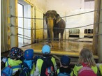 ZOO Liberec  (8)