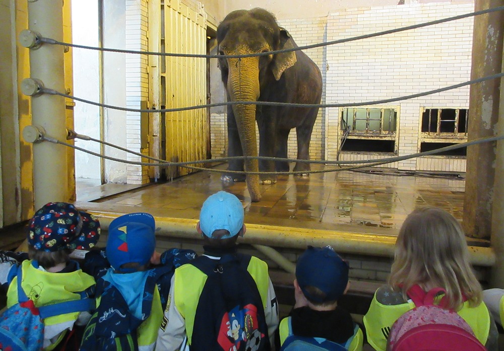 MŠ v ZOO