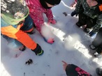 Co dělají děti ze školky v zimě11