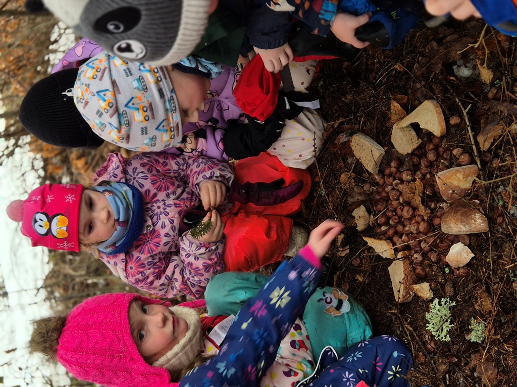 Únor ve školce 2026