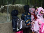říjen 1 ZOO Liberec(1)